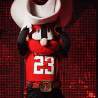 Texas Tech Athletics GIF by Texas Tech Football