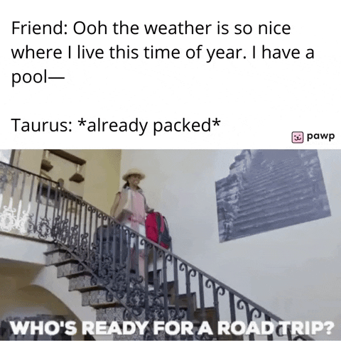 mypawp giphyupload GIF