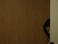 Cat Chan GIF