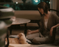 Play Chan GIF