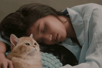 Sleep Gmmtv GIF