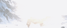 Forgotten Realms Dnd GIF by Dungeons & Dragons