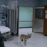 chambersnetflix netflix chambers chambers netflix GIF