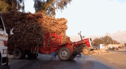 giphyupload GIF