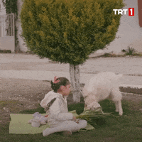 Kalk Gidelim Soyle GIF by TRT