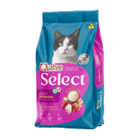 Quatreeselect Sticker by Quatree