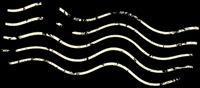 Waves Lines GIF by Storyteller Overland