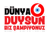 Volleyball Vnl Sticker by Vodafone Türkiye