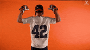 Uvamenslax GIF by Virginia Athletics