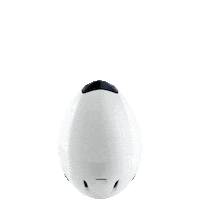 codatronca Sticker by MET Helmets