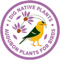 Native Plants Sticker by National Audubon Society