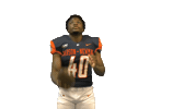 Cnfb Sticker by Carson-Newman Athletics