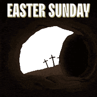 Easter Sunday Penguin GIF by Pudgy Penguins