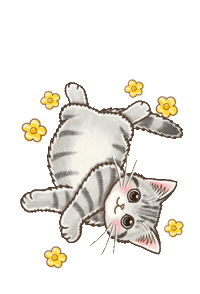 Cat Sticker