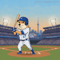 Lets Go Baseball GIF by Doge Pound