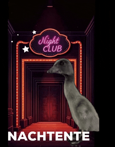 Party Night GIF