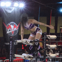 Wrestler GIF