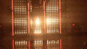 Oklahoma Sooners Softball GIF by NCAA Championships