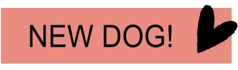 Dog Love Sticker by Fellhelden