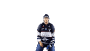 Hockey Ice Sticker by Les Ducs d'Angers