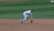 Save Blue Jays GIF by Toronto Blue Jays