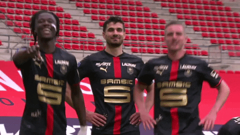 GIF by Ligue 1