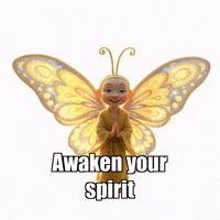 GIF by BuddhaFlyJourney