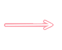 Rosa Marco Sticker