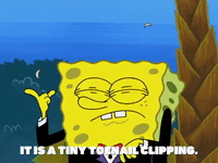 season 6 episode 26 GIF by SpongeBob SquarePants