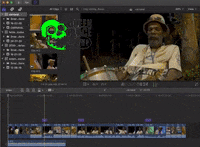 Carnaval Blumenau GIF by Greenplace TV