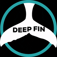 deepfintenerife diving dive tenerife deepfin GIF