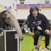 Maskedsinger GIF by John Oates