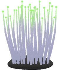 Neon Plant Sticker by AQUAEL