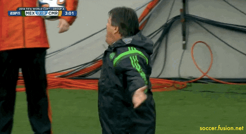 world cup mexico GIF by Fusion