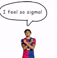 Raphinha Brazil Fans GIF