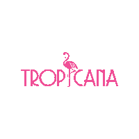 concepthotelgroup ibiza concepthotelgroup astorytotell hotelibiza Sticker