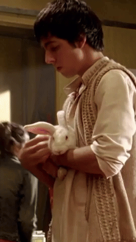 Elephant Princess - Too Many Bunnies