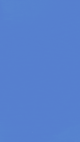 Bald Eagle GIF