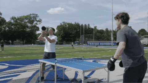 bobistotalyawesome giphygifmaker ping pong crashout ping pong murder GIF