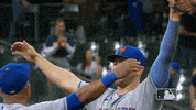 Group Hug Baseball GIF by New York Mets