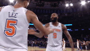 New York Knicks Photo GIF by NBA