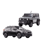 Sport Driving Sticker by AutoCraze