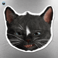 Art Reaction GIF by Felini Rocks