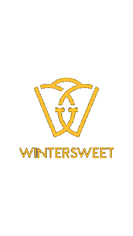 Winter Skating Sticker by Wheeladdict