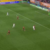 1 Fc Cologne Football GIF by 1. FC Köln