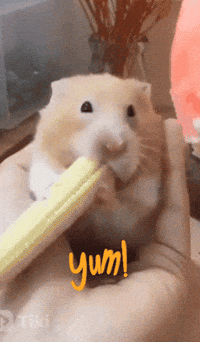 Tikibest reaction yum yumy GIF