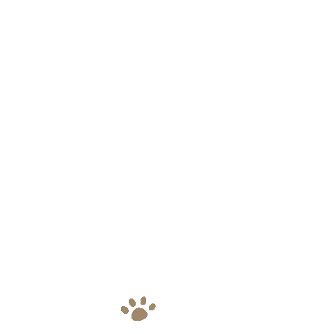 hellopitto giphyupload cat dog paw Sticker