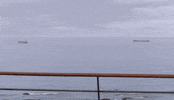 jon kortajarena pose GIF by Mediaset España