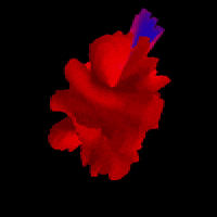 Art Morph GIF by Aleksey Efremov