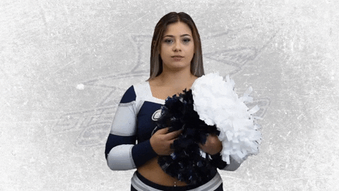 American Football Cheer GIF by Steelsharks